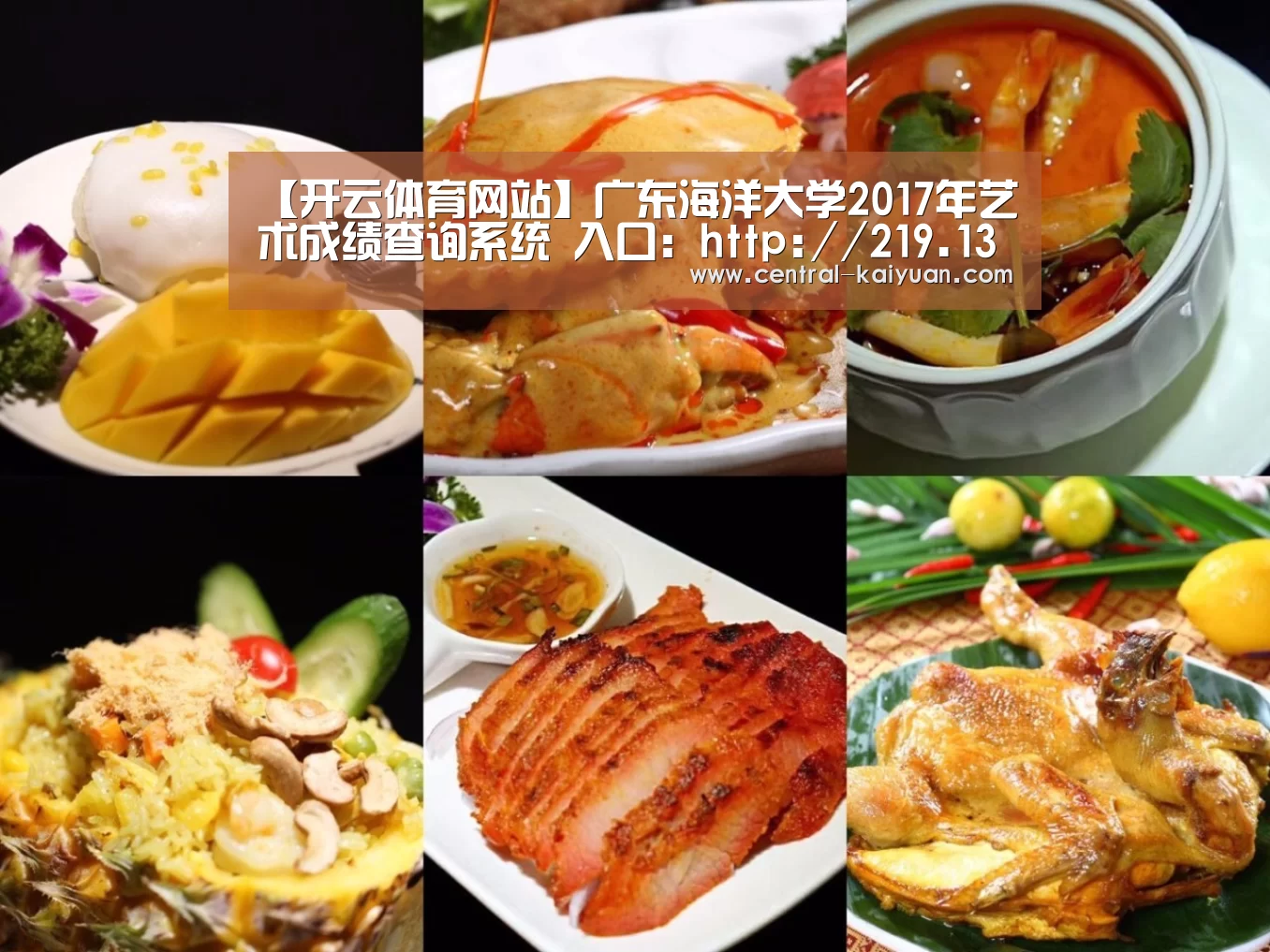 开云体育网站