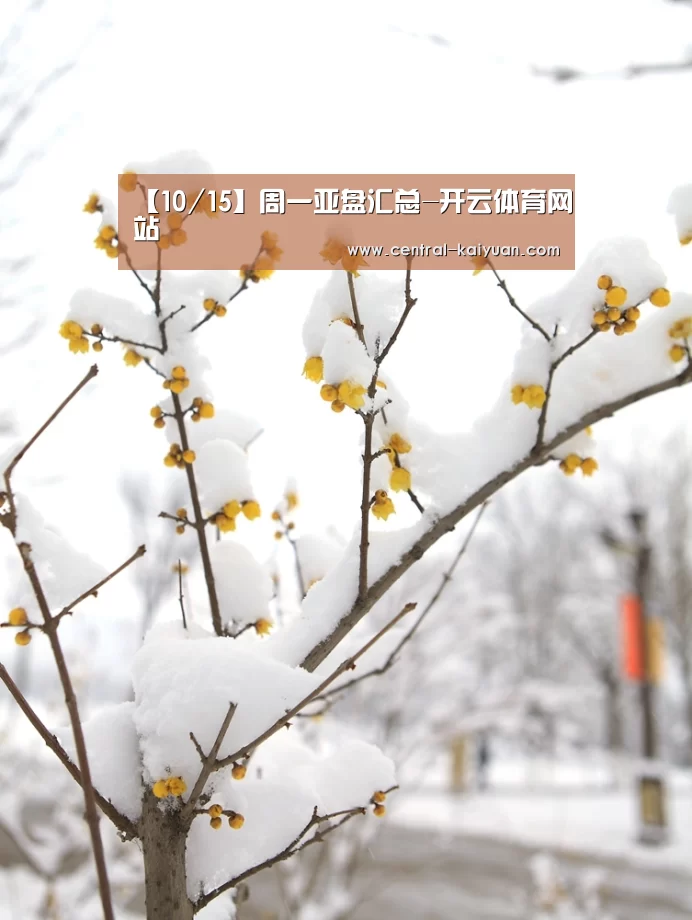 【10/15】周一亚盘汇总-开云体育网站
