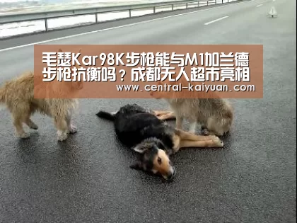 毛瑟Kar98K步枪能与M1加兰德步枪抗衡吗?成都无人超市亮相otaku的录像带_开云体育网站(图3) 开云体育官网