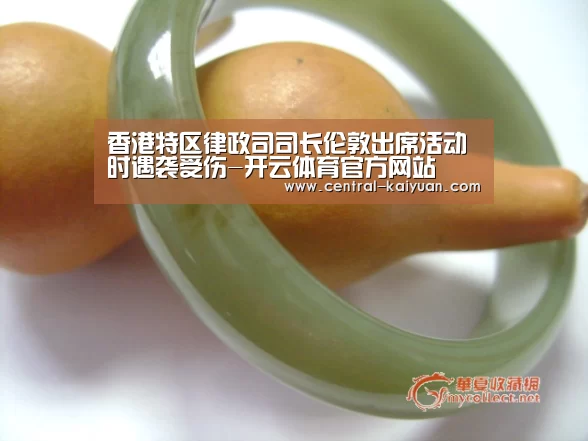 香港特区律政司司长伦敦出席活动时遇袭受伤-开云体育官方网站